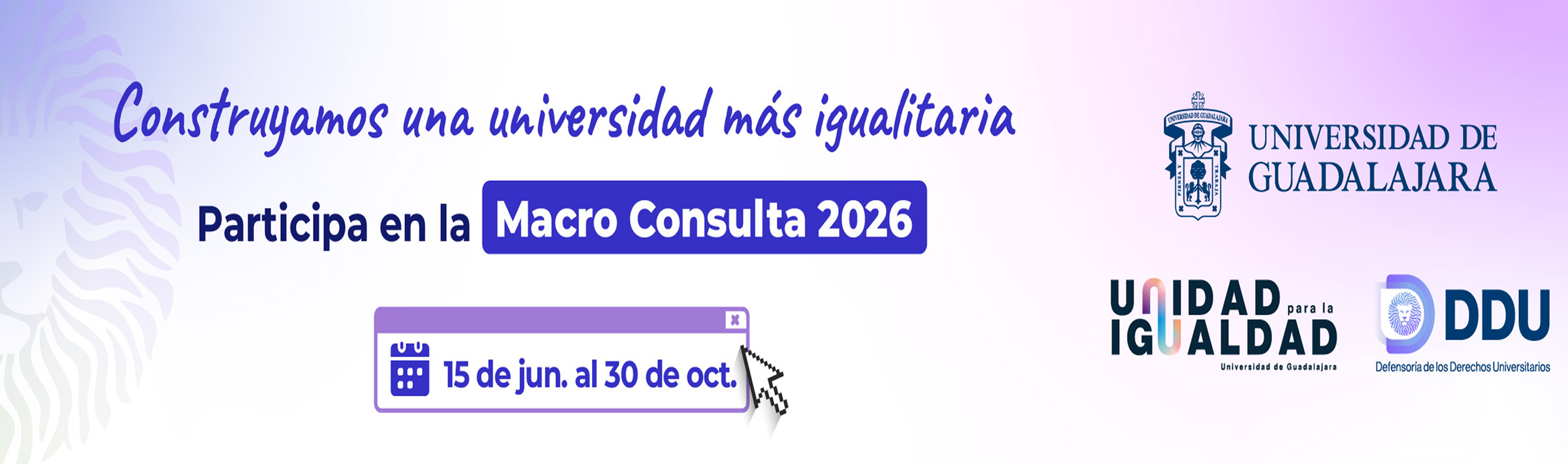 Macro Consulta 2026