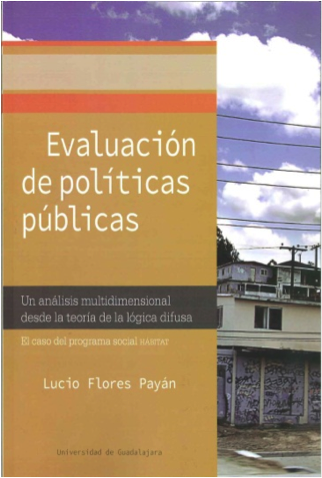 evaluacion_de_politicas_publicas.png