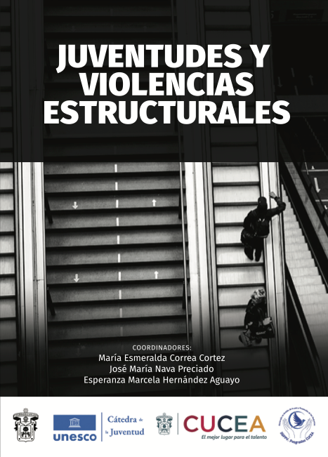juventudes_y_violencias_estructurales_2024.png